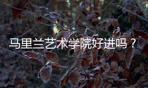 马里兰艺术学院好进吗？