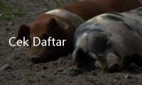 Cek Daftar Harga Kambing Kurban 2025 Jelang Idul Adha Lewat Online, Paling Murah Segini!